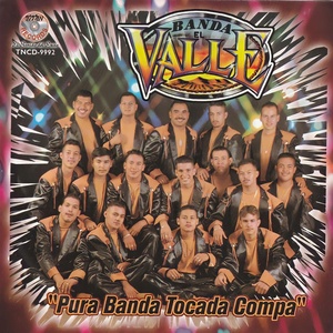 Обложка для Banda El Valle - El Nino Perdido
