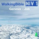 Обложка для WalkingBible, Matt Weeks - 2 Samuel 7:18