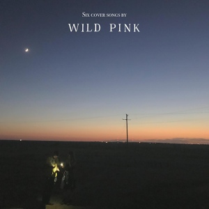 Обложка для Wild Pink - Reign Of Love