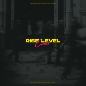 Обложка для Rise Level - Стая