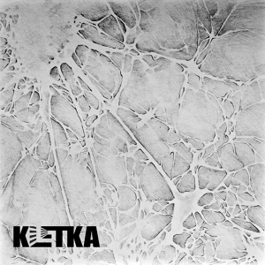 Обложка для KLETKA - De ja vu