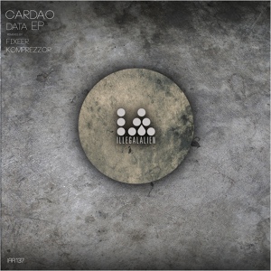 Обложка для Cardao - Data 303