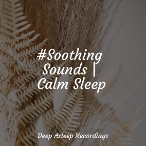 Обложка для Meditation Zen, Academia de Meditação Buddha, Sleep Waves - Ocean Sounds