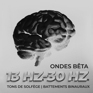 Обложка для Zone de la musique zen - Ondes Bêta 28 Hz