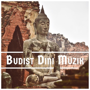 Обложка для Doğanın Müziği - Buda'yı Takip Et