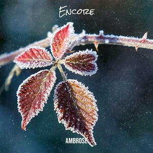 Обложка для Ambrose - Encore