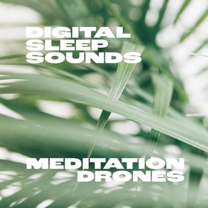 Обложка для Digital Sleep Sounds - Chill
