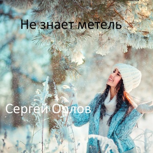 Обложка для Сергей Орлов - Не знает метель