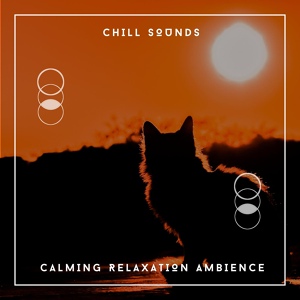 Обложка для Wellbeing Relaxation Ambience Chill - Inner Chant