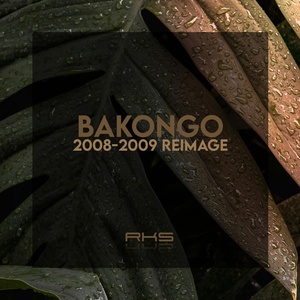 Обложка для Bakongo - Baga