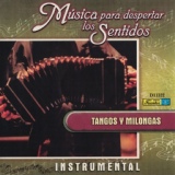 Обложка для Orquesta Típica Internacional - Remembranza