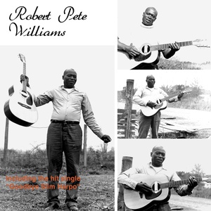 Обложка для Robert Pete Williams - Got Me Way Down Here