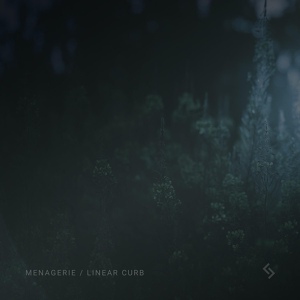 Обложка для Linear Curb - Not Around