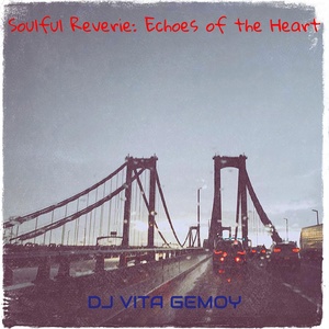 Обложка для Dj VITA GEMOY - Notes of the Spirit