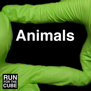Обложка для Runforthecube - Animals (No Autotune)