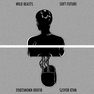 Обложка для Wild Beasts - Soft Future