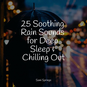 Обложка для Deep Sleep, Namaste Healing Yoga, Nature's Symphony - Rain Collection