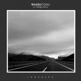 Обложка для Wassu - Tonu