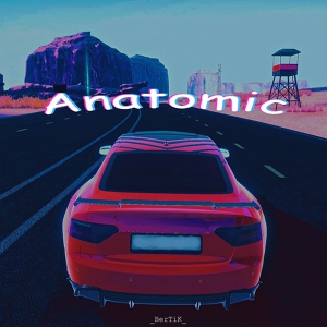 Обложка для _BerTiK_ - Anatomic