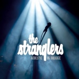Обложка для The Stranglers - I Hate You