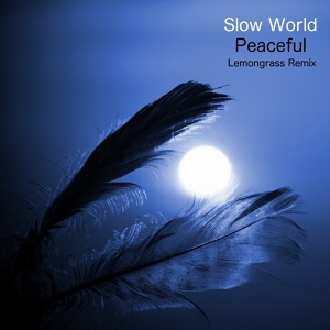 Обложка для Slow World - Peaceful