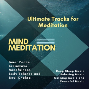 Обложка для Mind Body Soul Reiki Therapeutic Sounds, Restorative Meditation & Yoga Productions - The Intuitive