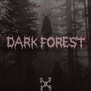 Обложка для 27015 - Dark Forest