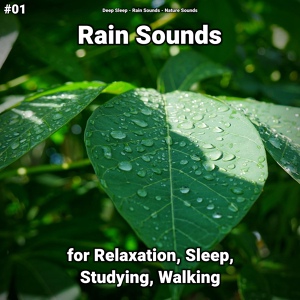 Обложка для Deep Sleep, Rain Sounds, Nature Sounds - Amazing Vibes