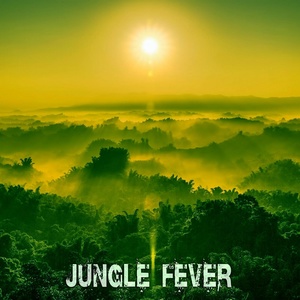 Обложка для Dj MannaTone - Jungle Fever