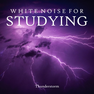 Обложка для Ambient Sounds from I'm In Records & White Noise from TraxLab - Thunderstorm Sounds for Studying, Pt.05