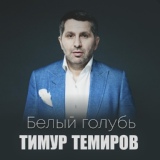 Обложка для Тимур Темиров, Соня Муртазалиева - Старый корабль