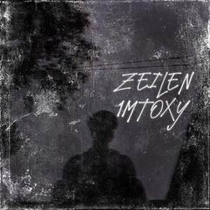 Обложка для 1mtoxy - Zeilen