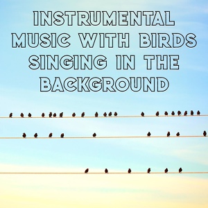 Обложка для Bird Song Group - Mysterious Landscape
