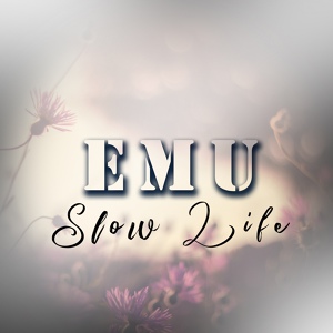 Обложка для Ému - Heel Dance