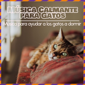 Обложка для RelaxMyCat, Cat Music Dreams, Cat Music Zone - Persiguiendo Mariposas