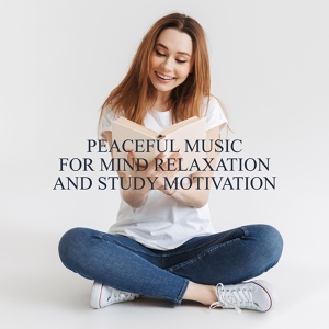 Обложка для Brain Study Music Guys - Meditation Music for Study
