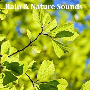 Обложка для Sleep Sounds of Nature - White Noise Baby Sleep Aid