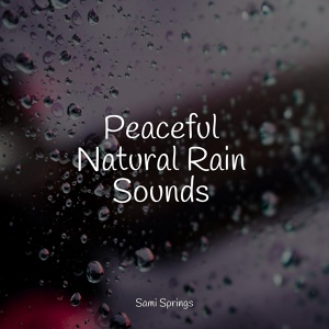 Обложка для Natural Nature Makers, Nature Recordings, Sons da natureza HD - White Noise Splashing Rain Drops