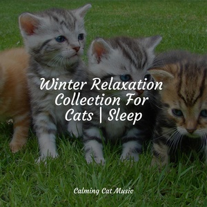Обложка для Music For Cats TA, RelaxMyCat, Official Pet Care Collection - Unwind