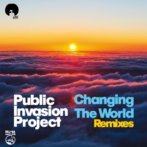 Обложка для Public Invasion Project - Changing the World