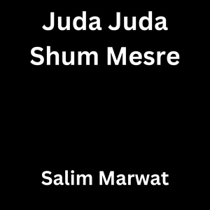 Обложка для Salim Marwat - Juda Juda Shum Mesre