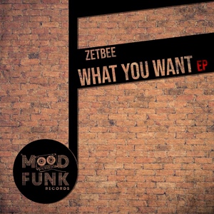 Обложка для Zetbee - I Need Your Love