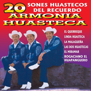 Обложка для Trío Armonía Huasteca - El Sombrerito