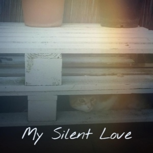 Обложка для The Orioles/The Rivieras - My Silent Love