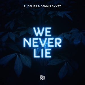 Обложка для RudeLies & Dennis Skytt - We Never Lie (Original Mix)