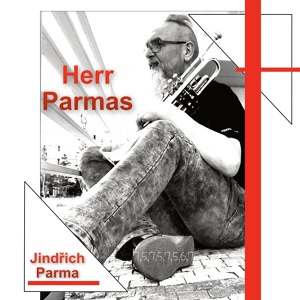Обложка для Jindřich Parma - Festival