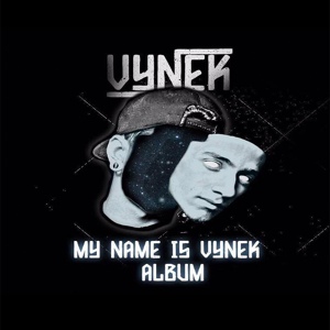 Обложка для Vynek - My Name Is Vynek S