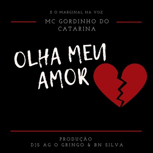 Обложка для MC GORDINHO DO CATARINA - Olha Meu Amor