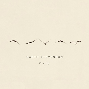 Обложка для Garth Stevenson - Alone
