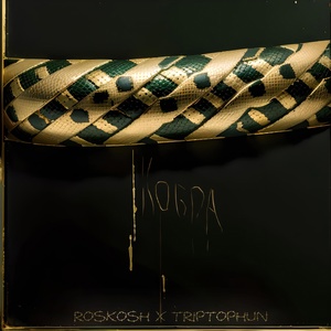 Обложка для ROSKOSH, Triptophun - Кобра